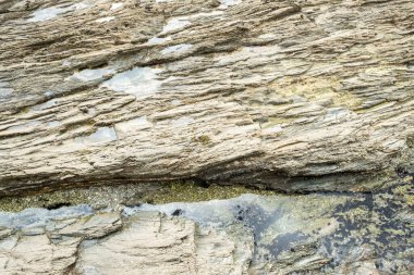 Bir taşın üzerindeki güzel kaya oluşumlarının yakın plan çekimi.