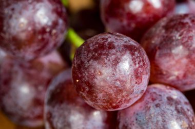 Taze kırmızı üzümler, yaklaşın.