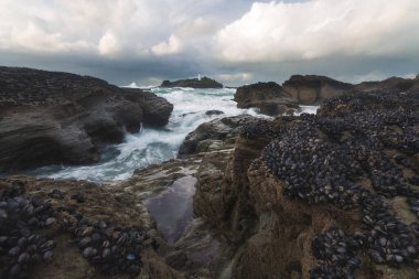 Godrevy deniz feneri Cornwall İngiltere