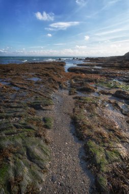 Gribben Cornwall İngiltere yakınlarında..