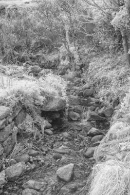 Dağ nehrinin güzel manzarası