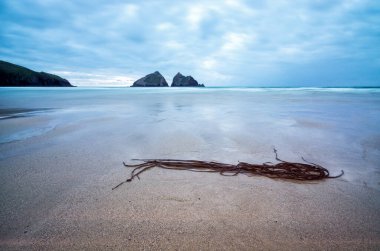 Holywell Bay Cornwall İngiltere