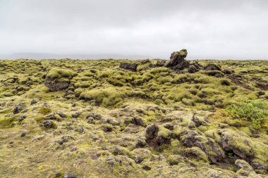 Dağların güzel manzarası