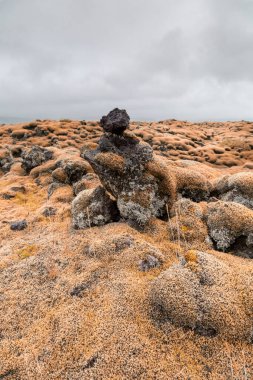 Ölü deniz adasının güzel manzarası