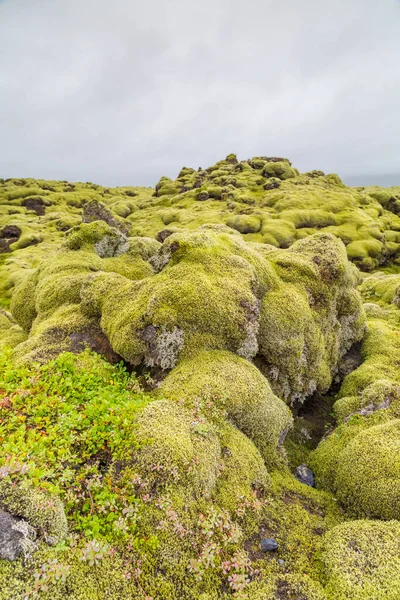 Vacker Utsikt Över Bergen — Stockfoto