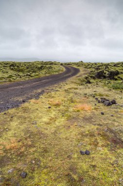 Dağlardaki güzel bir yol manzarası.