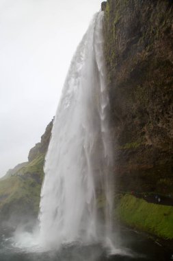 Seljalandsfoss şelalesi doğa manzarası. İzlanda