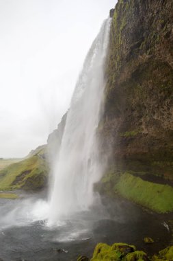 Seljalandsfoss şelalesi doğa manzarası. İzlanda