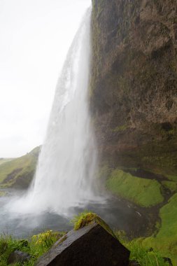 Seljalandsfoss şelalesi doğa manzarası. İzlanda
