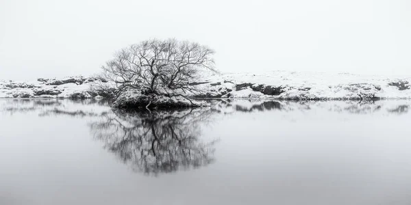 Isländischer Fluss Schnee Bei Husavik — Stockfoto