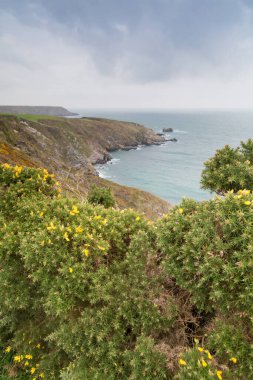 Kennack Sands çevresindeki sahil yolu. 