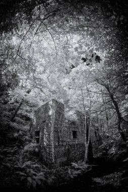 Kennal Vadisi 'nin siyah beyaz fotoğrafı, Cornwall İngiltere