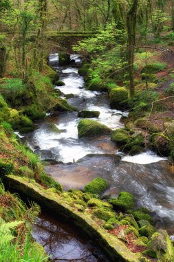 Kennal vadisi, Cornwall İngiltere