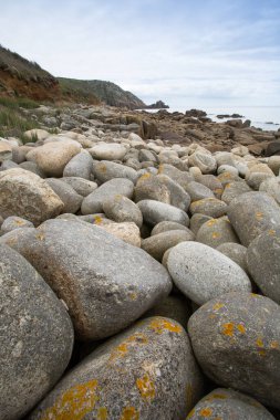 Lamorna Cove Cornwall İngiltere