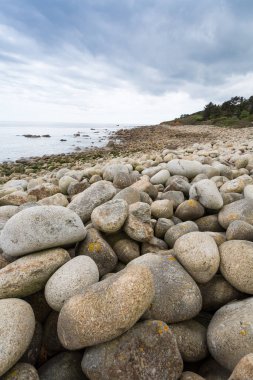 Lamorna Cove Cornwall İngiltere