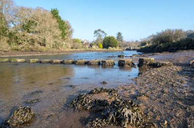Bahar Parkı 'nda buzlu nehir