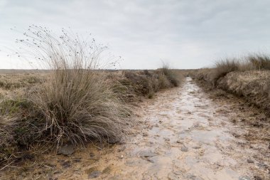 Kynance 'ın çevresindeki toprak yol
