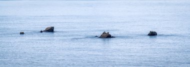 Kynance Cove Cornwall İngiltere.