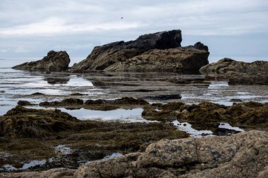 Kynance Cove Cornwall İngiltere.