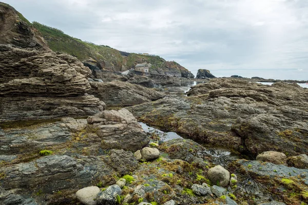 Kynance Vik Cornwall England — Stockfoto