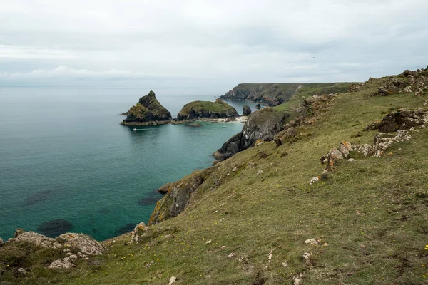 Kynance Cala Cornwall Inglaterra Reino Unido —  Fotos de Stock