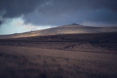 Dartmoor Devon İngiltere manzarası 