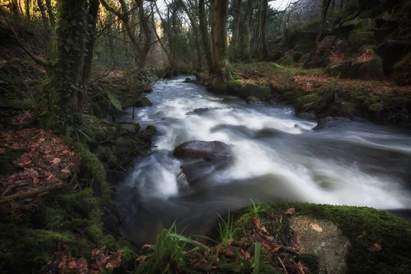 Luxulyansk Dal Nära Bodmin Cornwall — Stockfoto