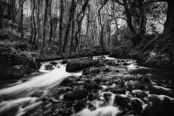 Valle Luxulyan Vicino Bodmin Cornwall — Foto Stock