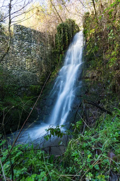 Luxulyan Vallée Près Bodmin Cornwall — Photo