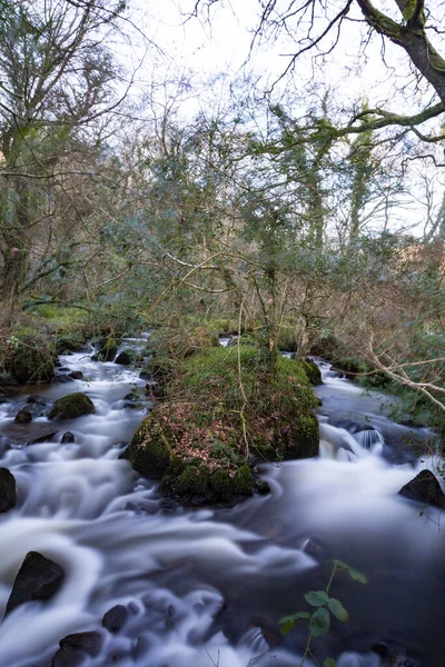 Vale Luxulyan Perto Cornwall Bodmin — Fotografia de Stock