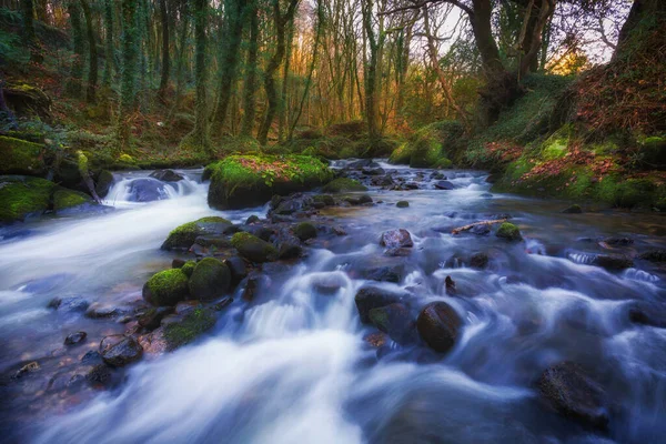 Κοιλάδα Luxulyan Κοντά Bodmin Cornwall — Φωτογραφία Αρχείου