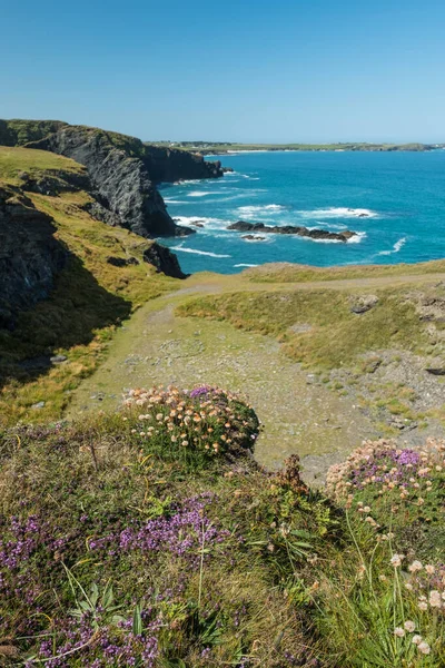 Hermosa Vista Del Paisaje Natural —  Fotos de Stock