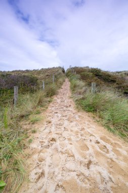 Güzel sahil ve deniz manzarası
