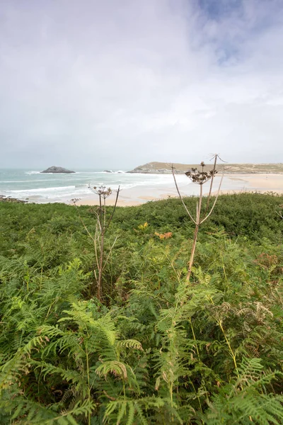 Holywell Bay Cornwall Inglaterra Reino Unido — Foto de Stock