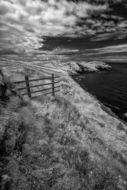 Güzel sahilin dramatik siyah beyaz görüntüsü