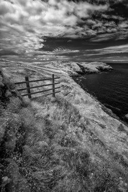 Kızıl ötesi siyah beyaz tarlaları ve denizleri olan güzel bir manzara.