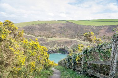 port quin cornwall İngiltere.