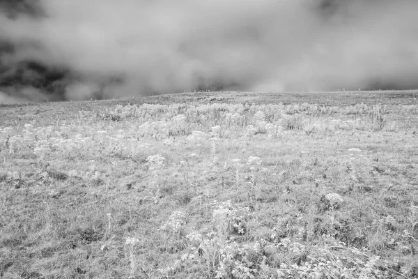 Dramatic Black White Shot Field Cloudy Day — Foto Stock