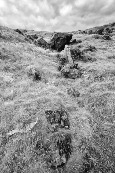 Dramatic Black White Shot Rocks Meadow — Stockfoto