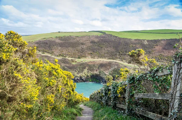 Puerto Quin Cornwall England — Foto de Stock