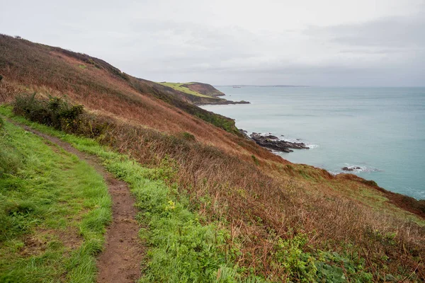 Küstenweg Zwischen Porthallow Und Gillan Cornwall — Stockfoto