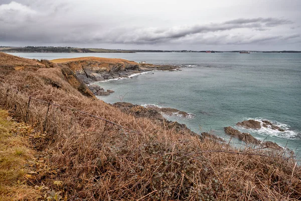 Kuststig Mellan Porthallow Och Gillan Cornwall England — Stockfoto