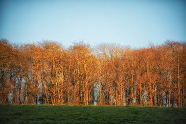 Porthleven Limanı Cornwall, İngiltere, İngiltere