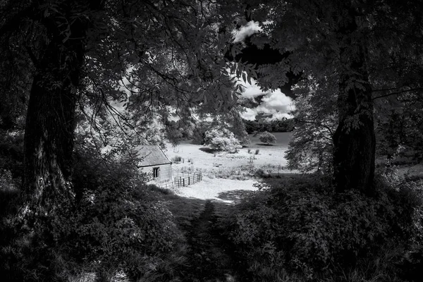 Çayırdaki Kır Evinin Dramatik Siyah Beyaz Görüntüsü — Stok fotoğraf
