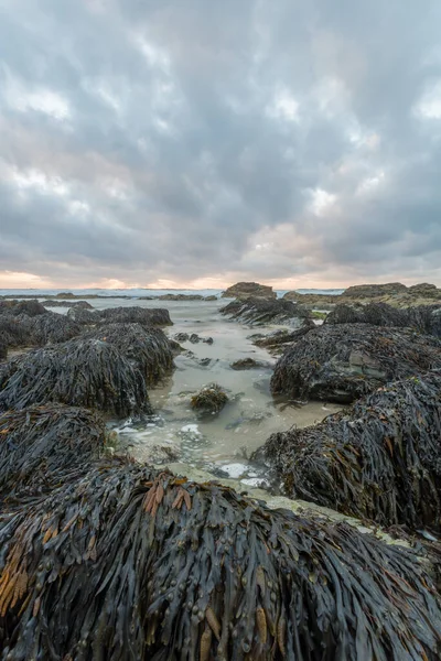 Porthtowan Beach Sobre Brezo Cornwall Inglaterra Reino Unido — Foto de Stock