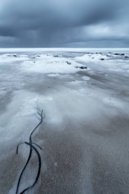 İngiltere, Cornwall 'daki fundalığın üzerinde Porthtowan plajı.