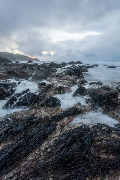 Porthtowan Beach Sobre Brezo Cornwall Inglaterra Reino Unido — Foto de Stock