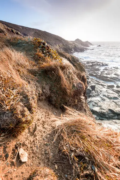 Kayalar ve küçük bir göl ile denizin kayalık kıyısı.