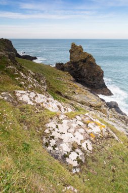 İngiltere, Cornwall 'daki Kalçalar