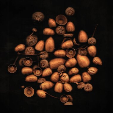 Fındık ve tohumlar siyah bir arka plan üzerinde